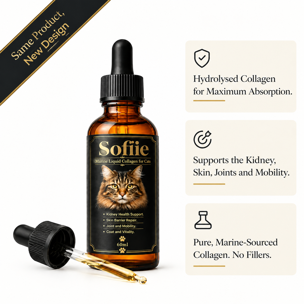 The Structural Protein Most Cat Owners Overlook: Softie™ Marine Collagen for Cats