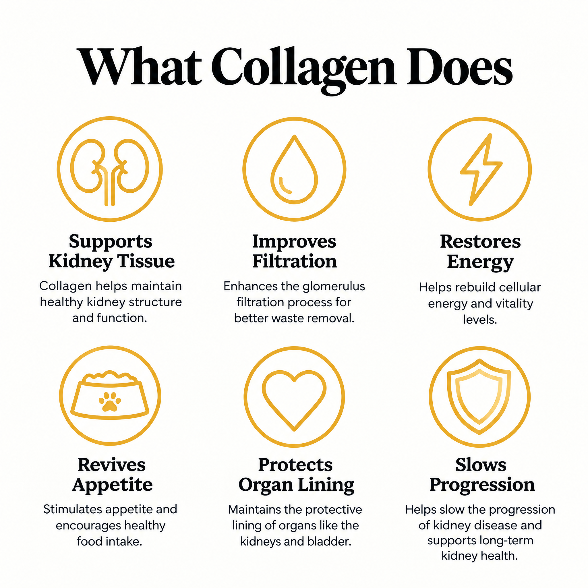 The Structural Protein Most Cat Owners Overlook: Softie™ Marine Collagen for Cats