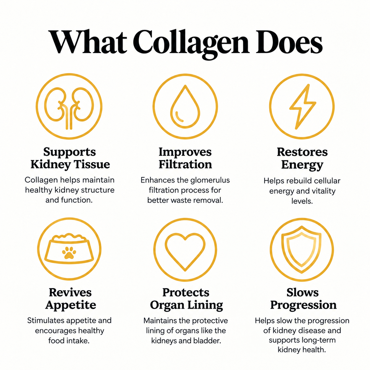 The Structural Protein Most Cat Owners Overlook: Softie™ Marine Collagen for Cats
